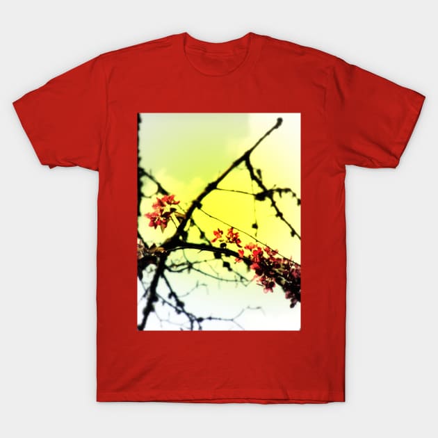 red Malus Radiant crab apple blossoms #7, yellow tint T-Shirt by DlmtleArt